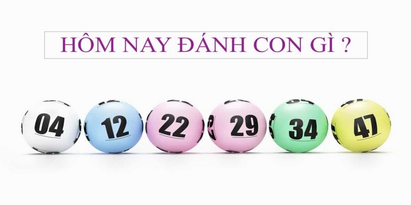 Hôm Nay Đánh Con Gì Mau Trúng, Tăng Cơ Hội Làm Giàu? 1 Các phương pháp đánh lô đề phổ biến và được nhiều người áp dụng